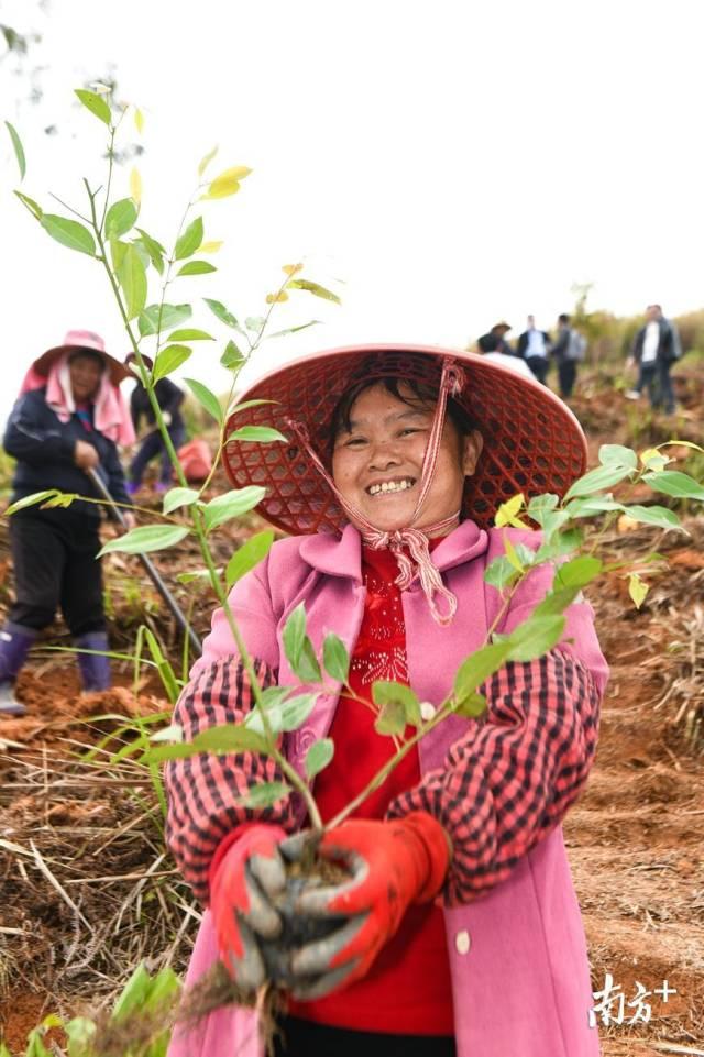 梅州日报最新新闻｜梅州日报新鲜资讯