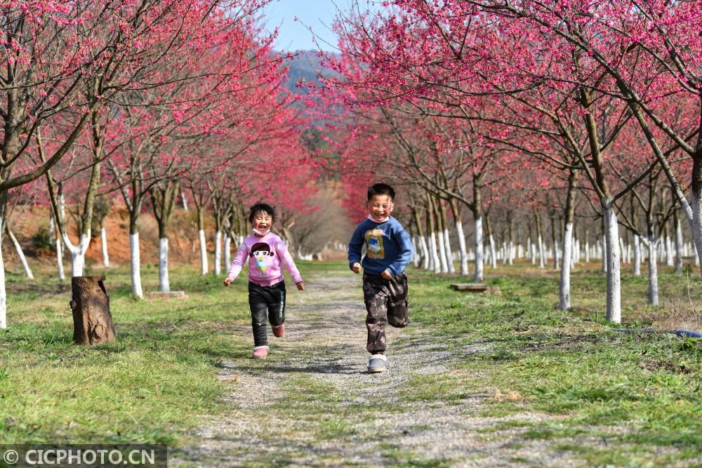 衡阳东城国际最新消息｜衡阳东城国际最新动态揭晓