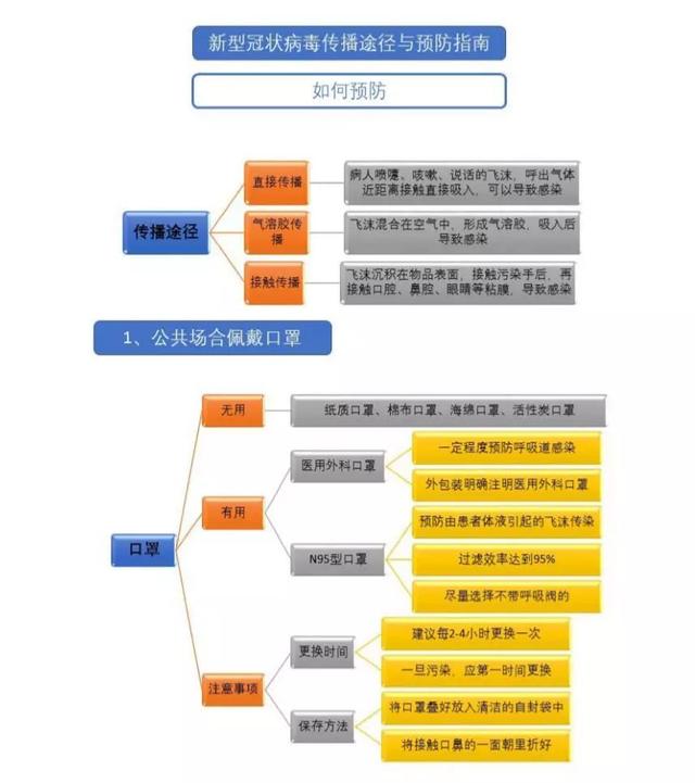 最新解析：新冠病毒传播途径全揭秘