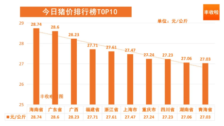 “全国猪价看涨，丰收在望喜讯传！”