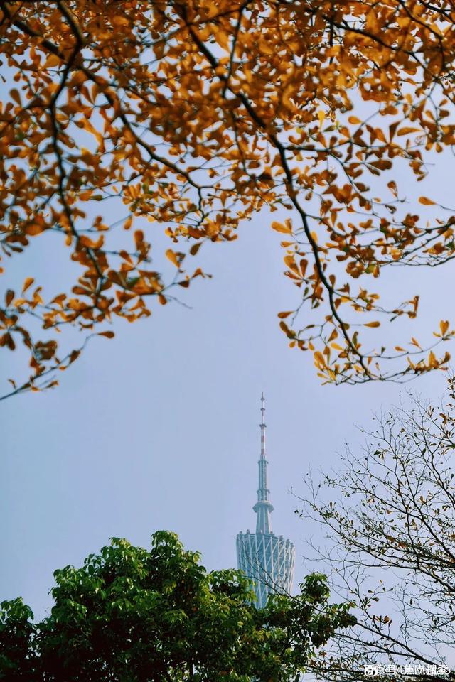 广州冬日暖阳预报，温馨呼吸新气息