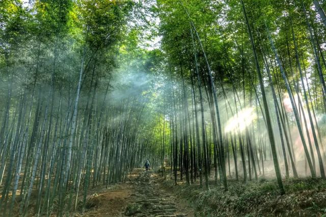 喜讯传来：烟台竹林南路焕新升级，美好愿景启航在即！