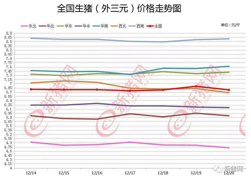 邳州生猪最新行情