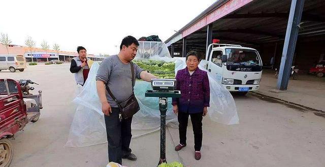 邳州蒜苔市场最新动态：价格走势一览